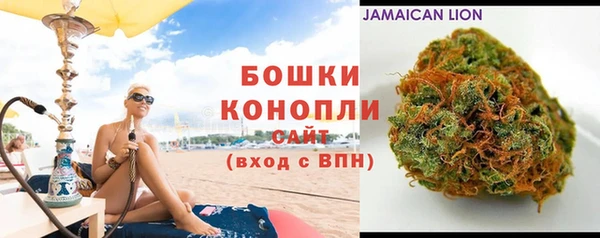 прущий лед Бердск