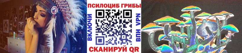 хочу   Бирск  гидра вход  Галлюциногенные грибы прущие грибы 